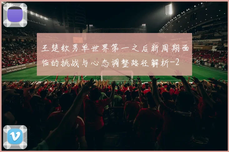 王楚钦男单世界第一之后新周期面临的挑战与心态调整路径解析