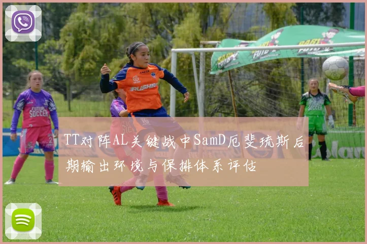 TT对阵AL关键战中SamD厄斐琉斯后期输出环境与保排体系评估
